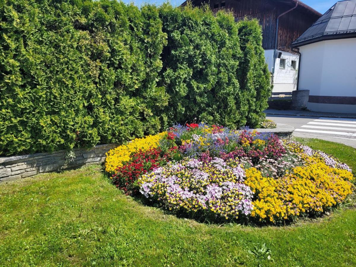 Ferienwohnung Schatz Breitenwang Exterior foto